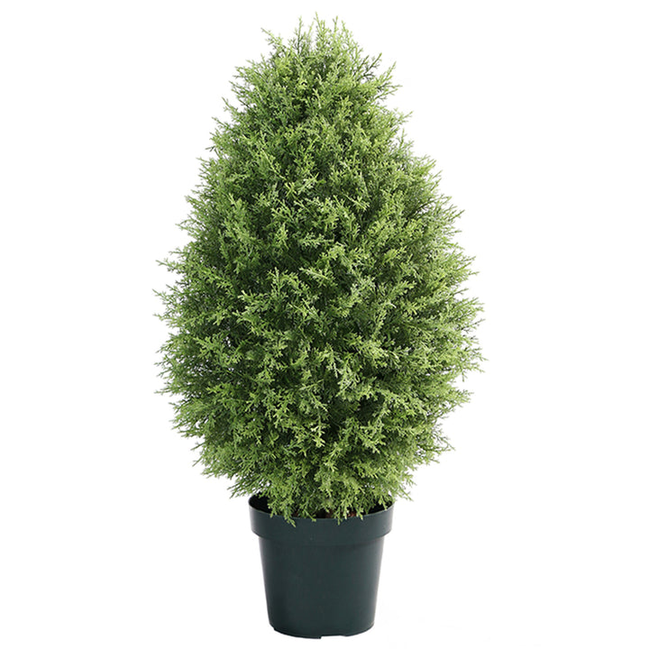 40" Cypress Tree