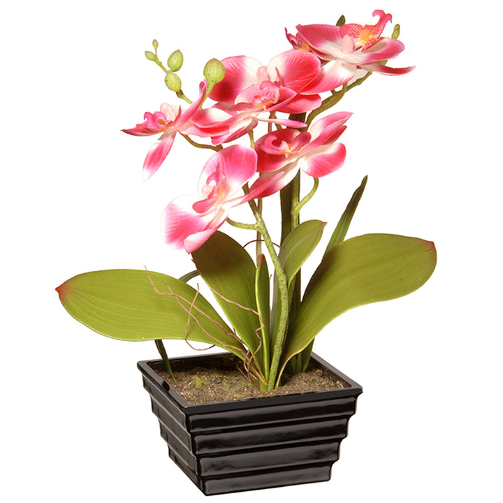 Artificial Potted Flowers, Pink Orchids, Includes Black Base, Spring Collection, 12 Inches