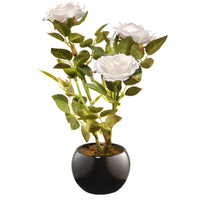 10 in. Spring White Rose Flower Potted in a Black Base - National Tree Company