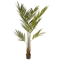 4 ft. Spring Kentia Palm Potted Tree with Leaves, Simulated Soil in a Black Pot - National Tree Company