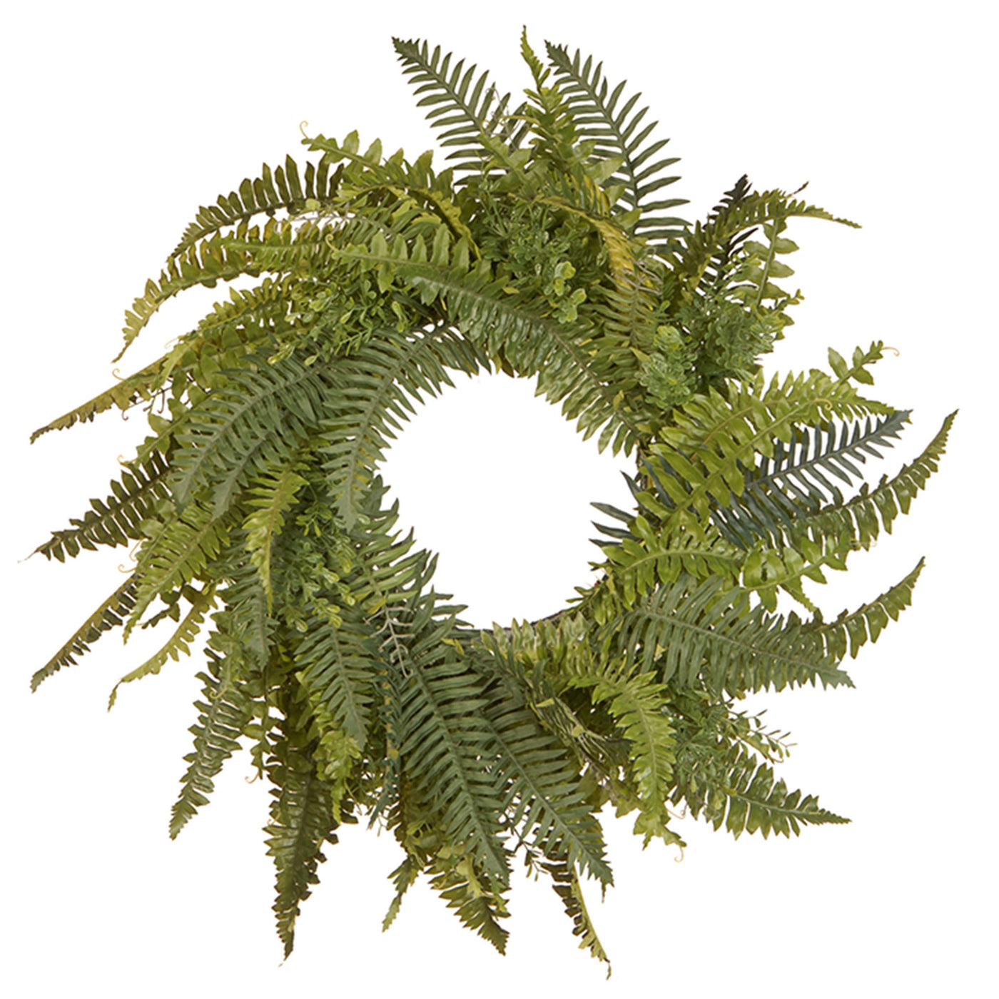 36 in. Fern Spring Wreath - National Tree Company