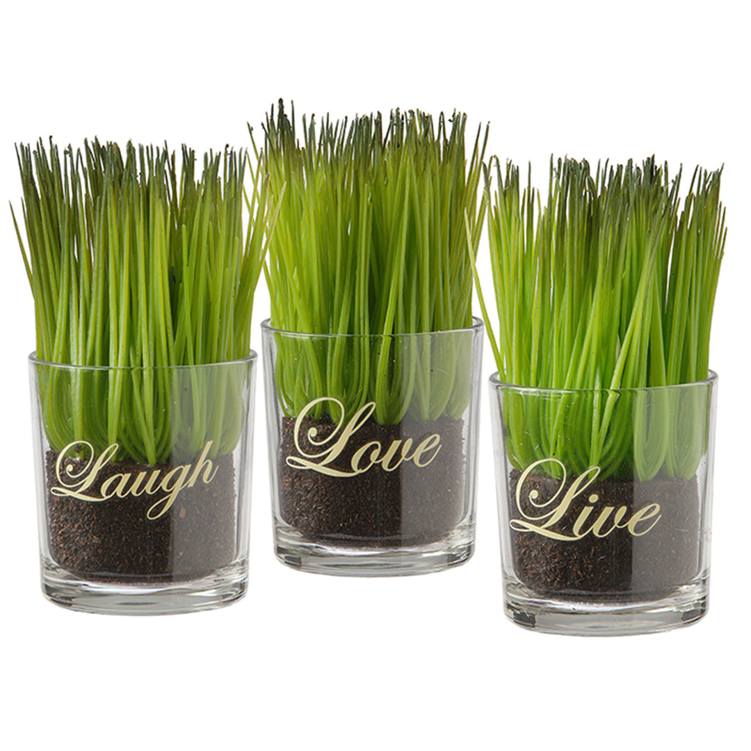 Artificial Potted Plant Set, Green Plant Sprouts, Square Glass Pot Base with Messages, Pack of 3, Spring Collection, 6 Inches Each