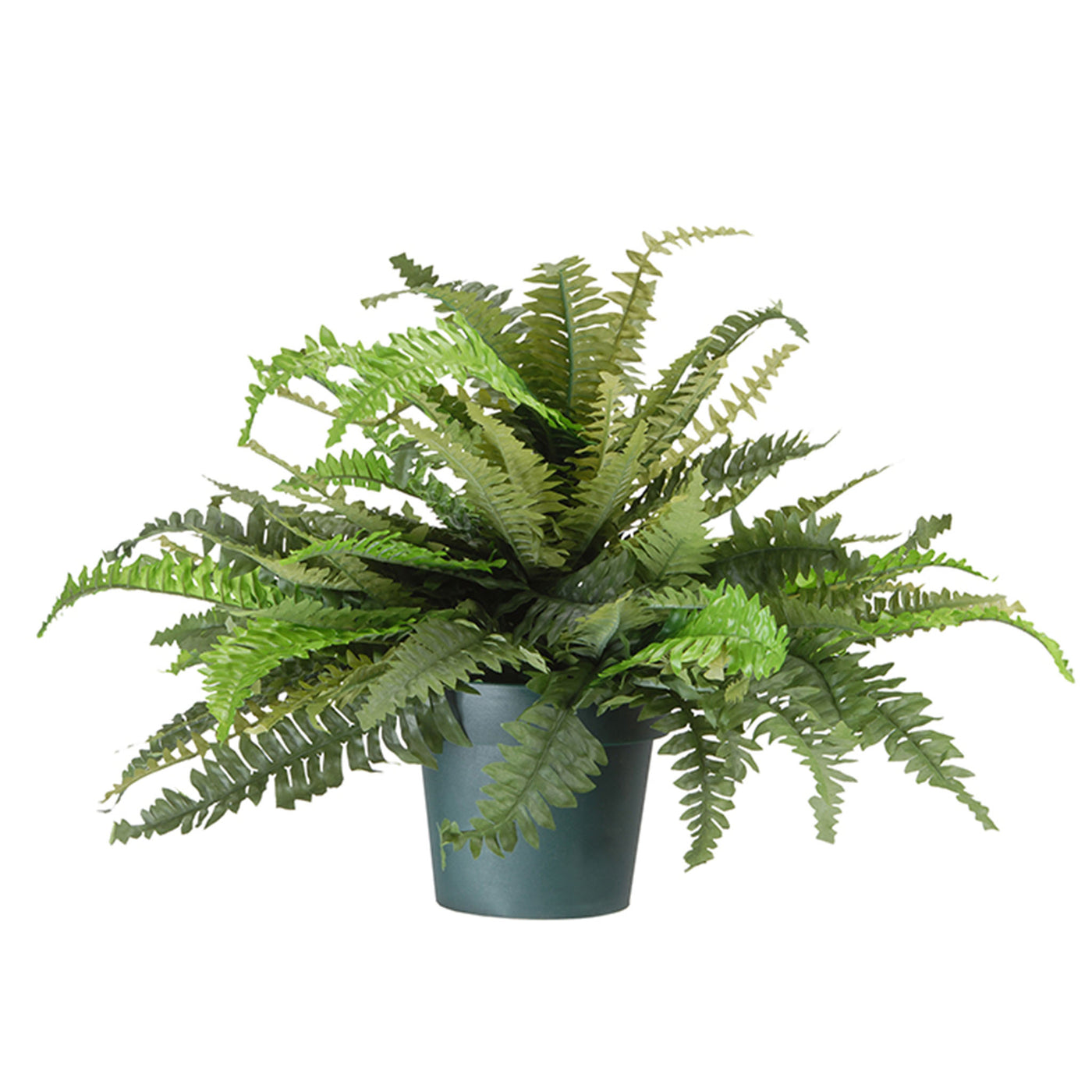 20 in. Spring Fern in Dark Green Round Growers Pot - National Tree Company