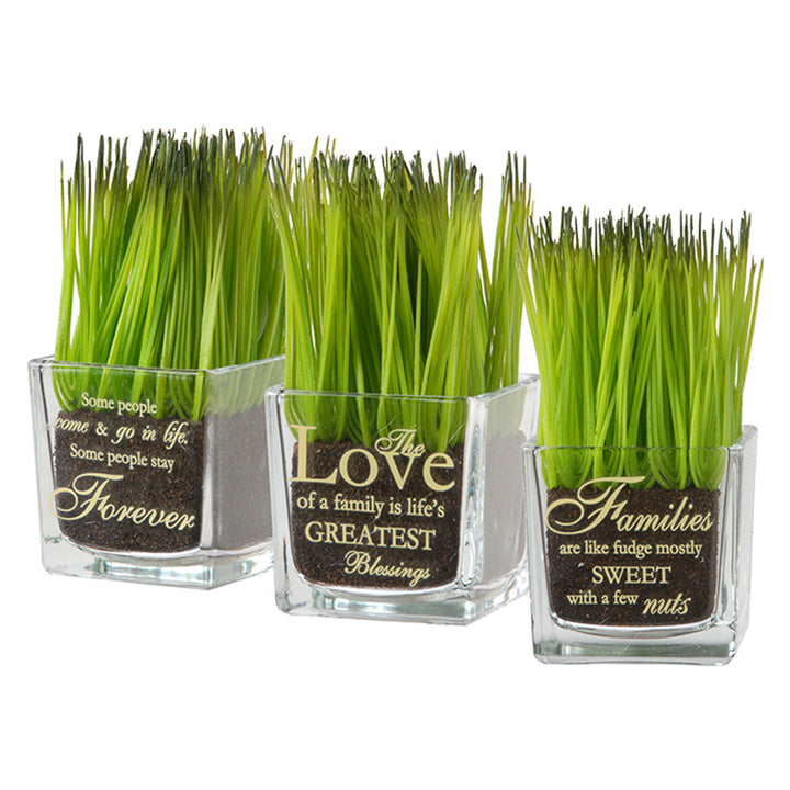 Artificial Potted Plant Set, Green Plant Sprouts, Square Glass Pot Base with Messages, Pack of 3, Spring Collection, 7 Inches Each