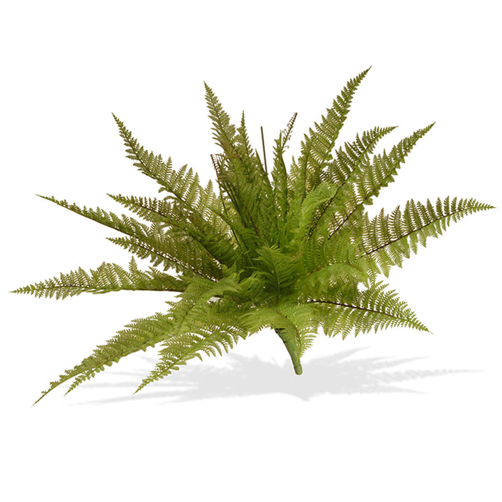 National Tree Company Artificial Fern Bush, Stem Vine Base, Spring Collection, 21 Inches