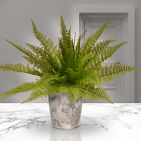 21 in. Spring Fern Bush with Stem Vine Base - National Tree Company