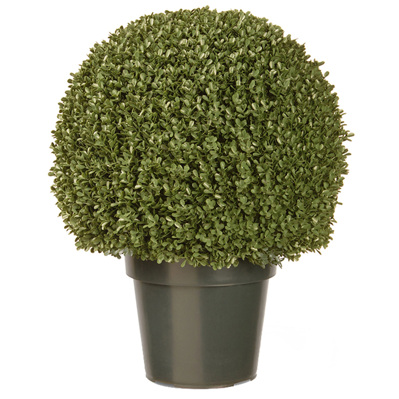 22 in. Mini Boxwood Ball Shaped Topiary Tree in a Round Green Growers Pot - National Tree Company