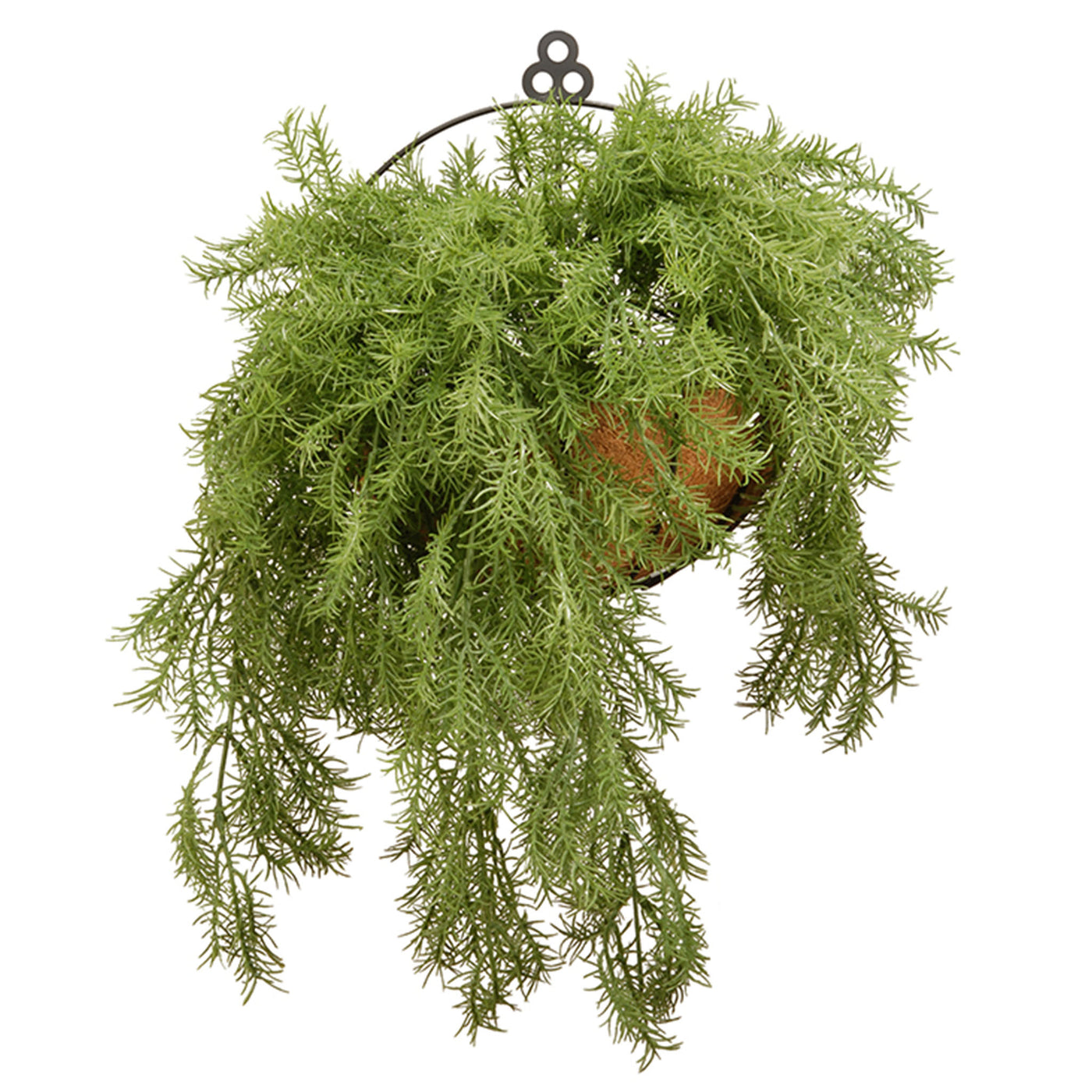 20 in. Spring Green Pine Branch Wall Basket - National Tree Company