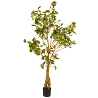 4 ft. Gingko Tree Potted Topiary Tree in a Black Pot Base - National Tree Company