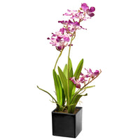 16 in. Spring Purple Orchids Flowers Potted in a Black Base - National Tree Company