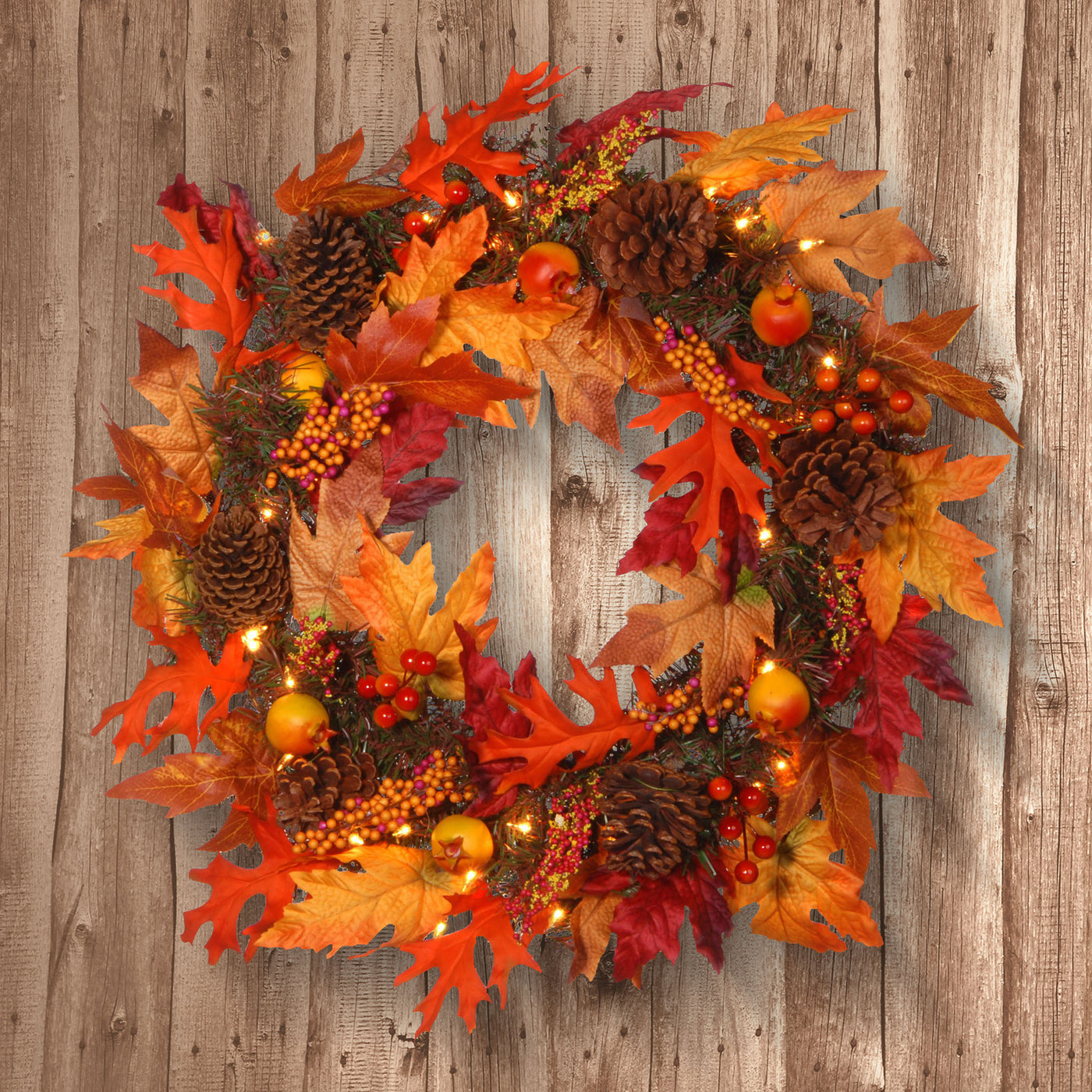 24 in. Pre-Lit Fall Wreath with Gourds, Pinecones, Maple Leaves, Berry Clusters and Lights - National Tree Company