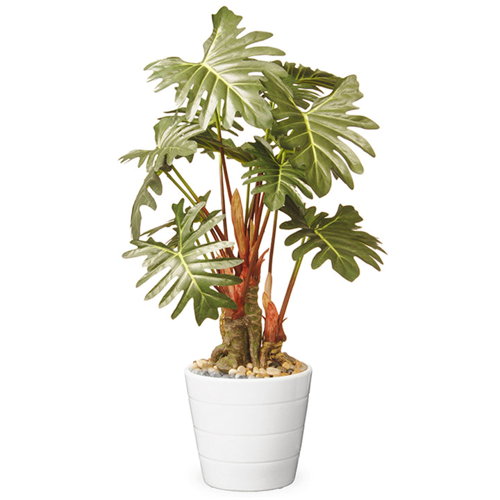Artificial Potted Plant Decoration, Philodendron, Includes White Ceramic Pot, Spring Collection, 21 Inches