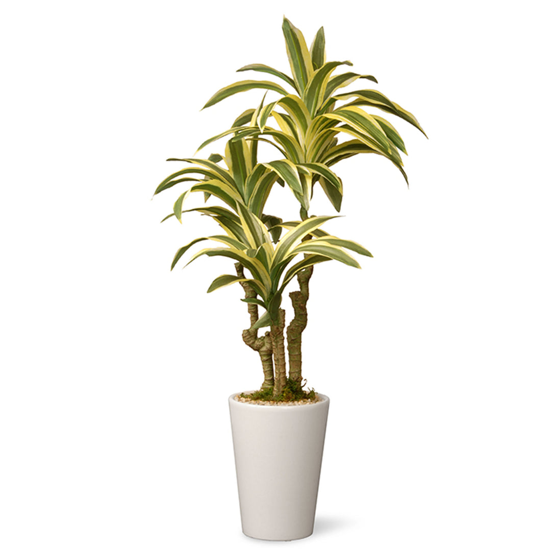 Artificial Potted Plant Decoration, Green, Dracaena, Includes White Ceramic Pot Base, Spring Collection, 21 Inches