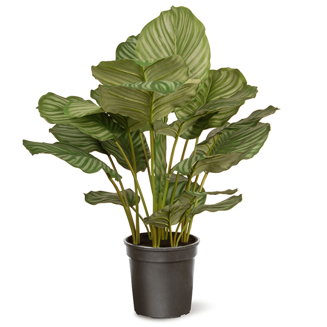 Artificial Potted Plant Decoration, Green, Includes Dark Green Pot Base, Spring Collection, 30 Inches