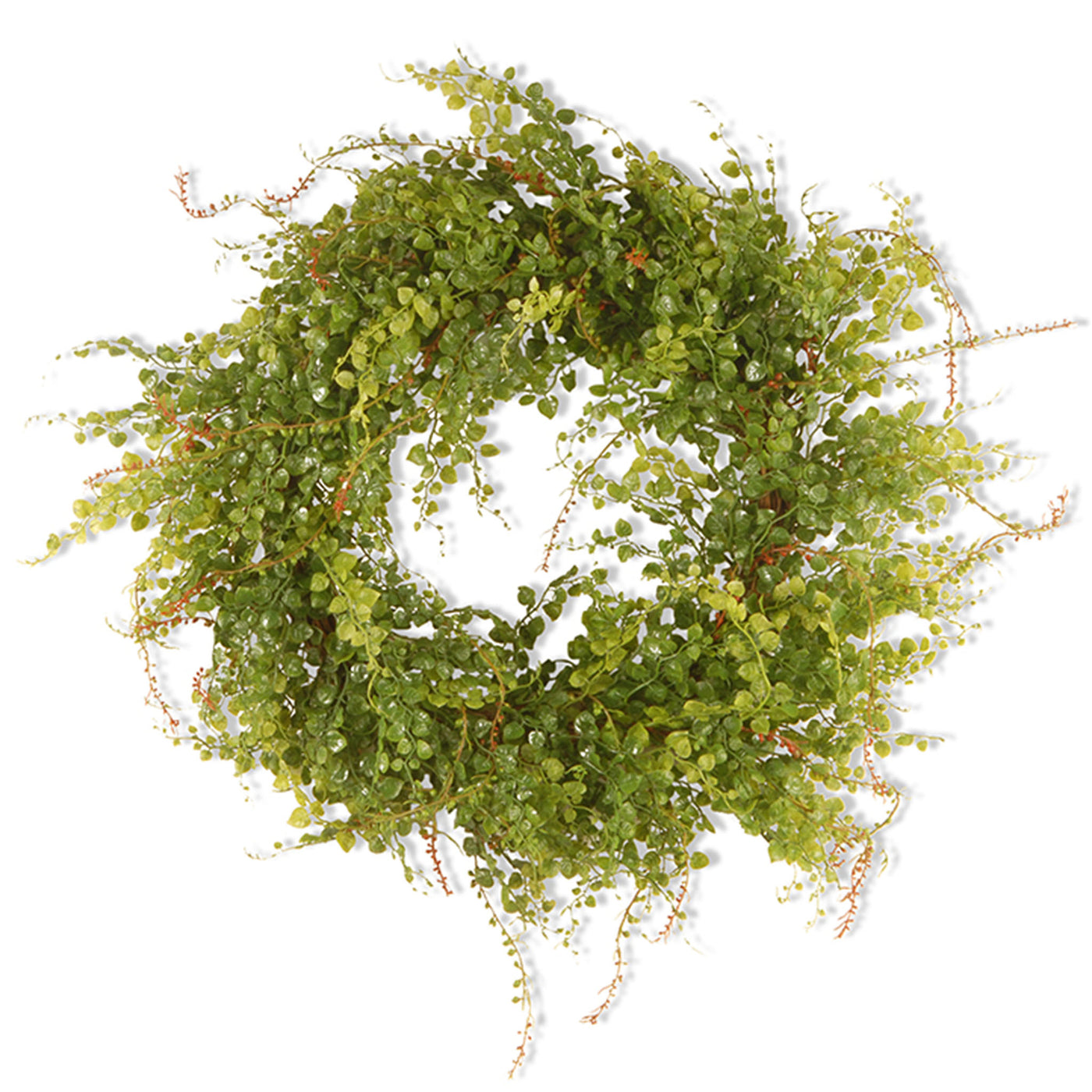Artificial Hanging Wreath, Green, Woven Branch Base, Decorated with Boxwood Flowers, Spring Collection, 22 Inches - National Tree Company