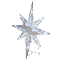 42 in. Ice Acrylic Star with Multi-Function LED Lights - National Tree Company