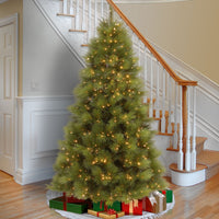7.5 ft. Pre-Lit Arcadia Pine Tree with Dual Color LED Lights - National Tree Company