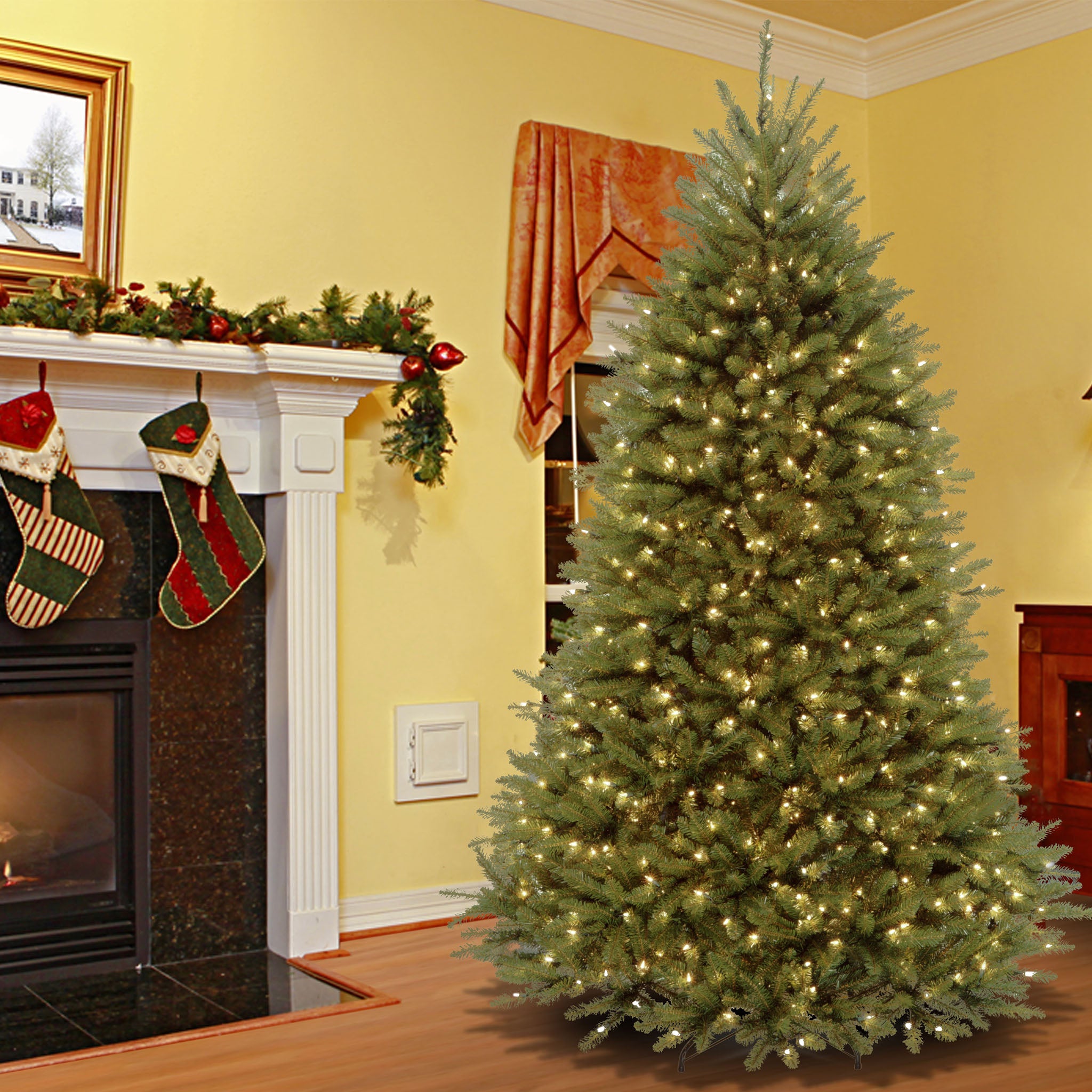 Dunhill christmas trees top