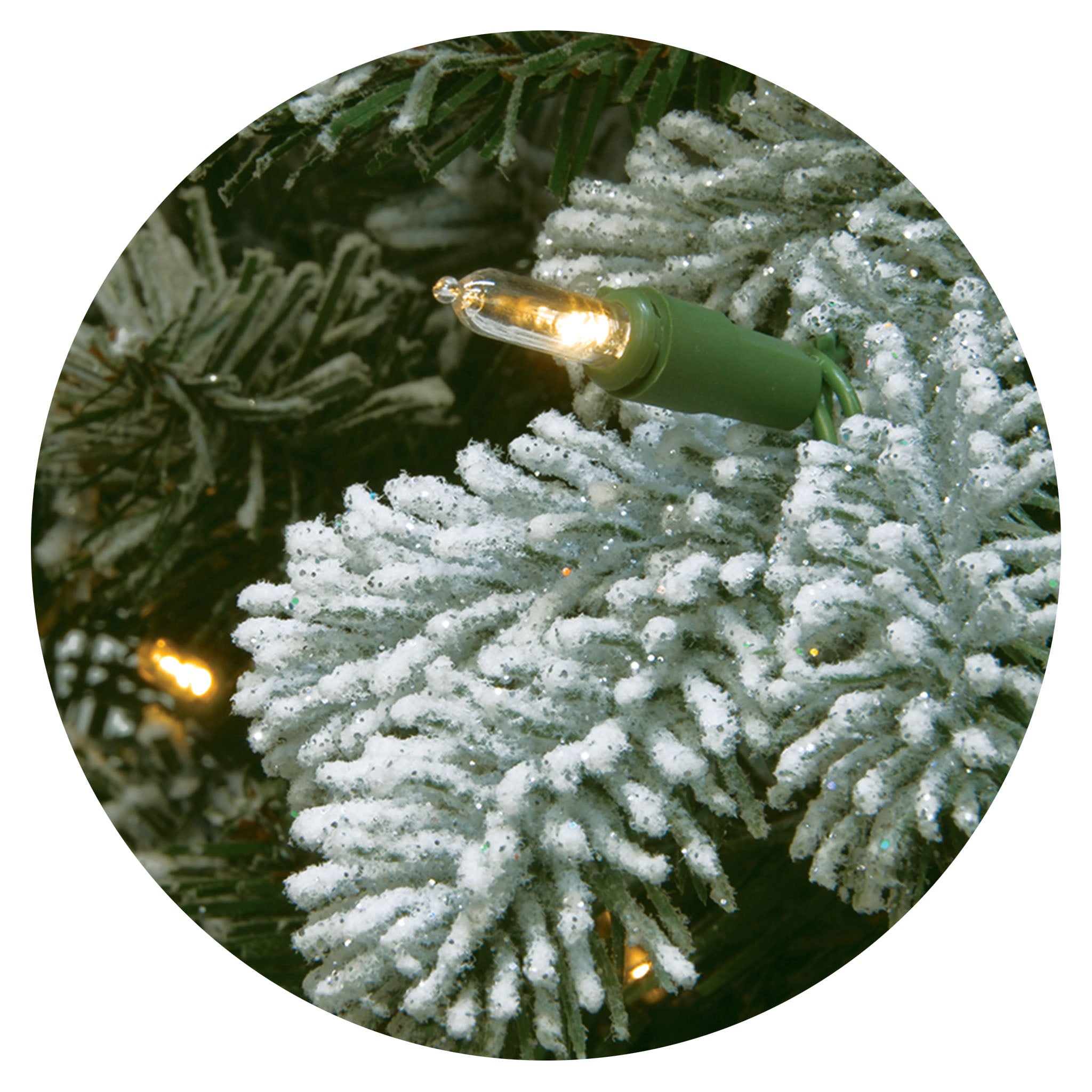 National 2024 Tree Company 6-ft. Pre-Lit Snowy Sheffield Spruce Slim Artificial Chris