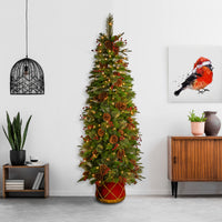 6 ft. Pre-Lit Colonial Collection Slim Tree with Clear Lights - National Tree Company