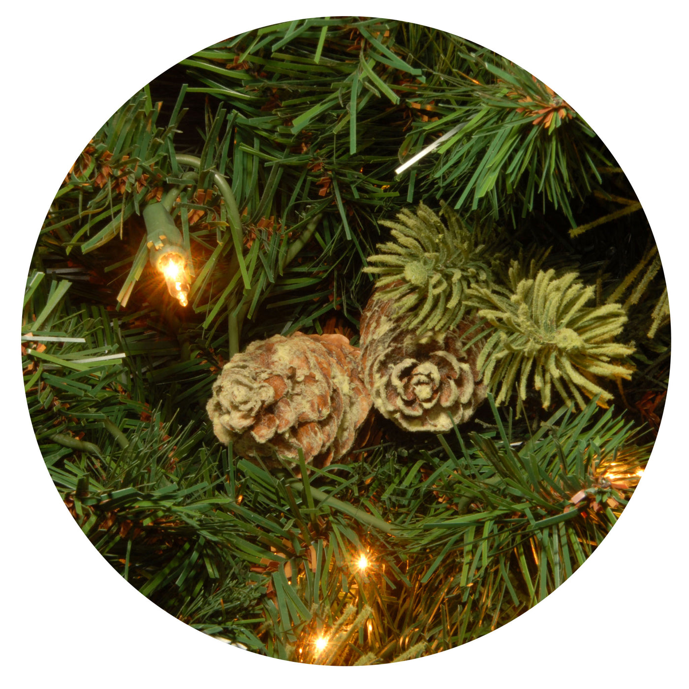 7.5 ft. Pre-Lit Carolina Pine Tree with 750 Clear Lights - National Tree Company