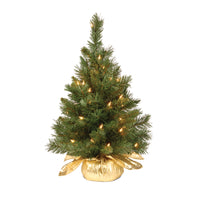 2 ft. Pre-Lit Majestic Fir Tree with Clear Lights, Gold Base - National Tree Company