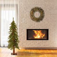 4 ft. Hickory Cedar Tree with Clear Lights - National Tree Company