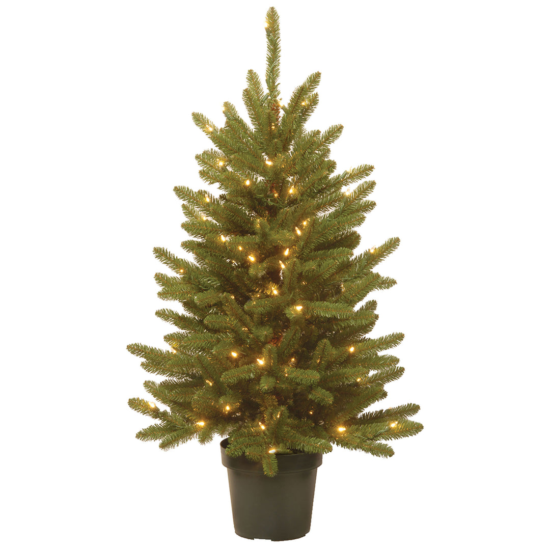 Pre-Lit Artificial Christmas Tree, Kensington, Green, White Lights, Includes Pot Base, 4 Feet