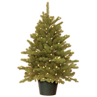 3 ft. Pre-Lit Hampton Spruce Tree with Clear Lights - National Tree Company
