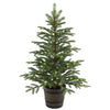 4 ft. Norwegian Spruce Entrance Tree with Clear Lights, Plug-In - National Tree Company