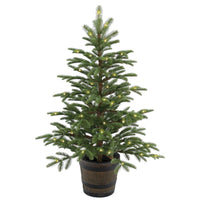 4 ft. Norwegian Spruce Entrance Tree with Clear Lights - National Tree Company