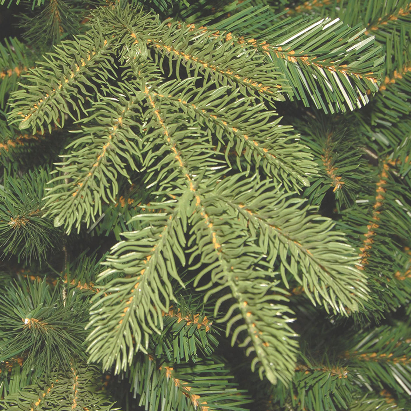 4 ft. Norwegian Spruce Entrance Tree with Clear Lights - National Tree Company