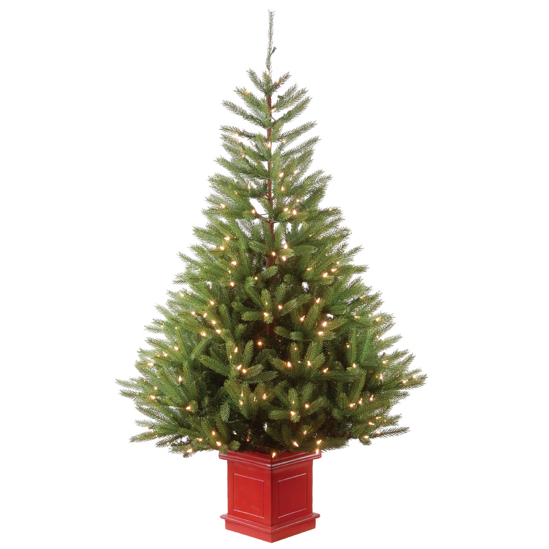 6 ft. Topeka Spruce Entrance Tree with Clear Lights