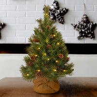 3 ft.Pre-Lit Pine Cone Tree with LED Lights - National Tree Company