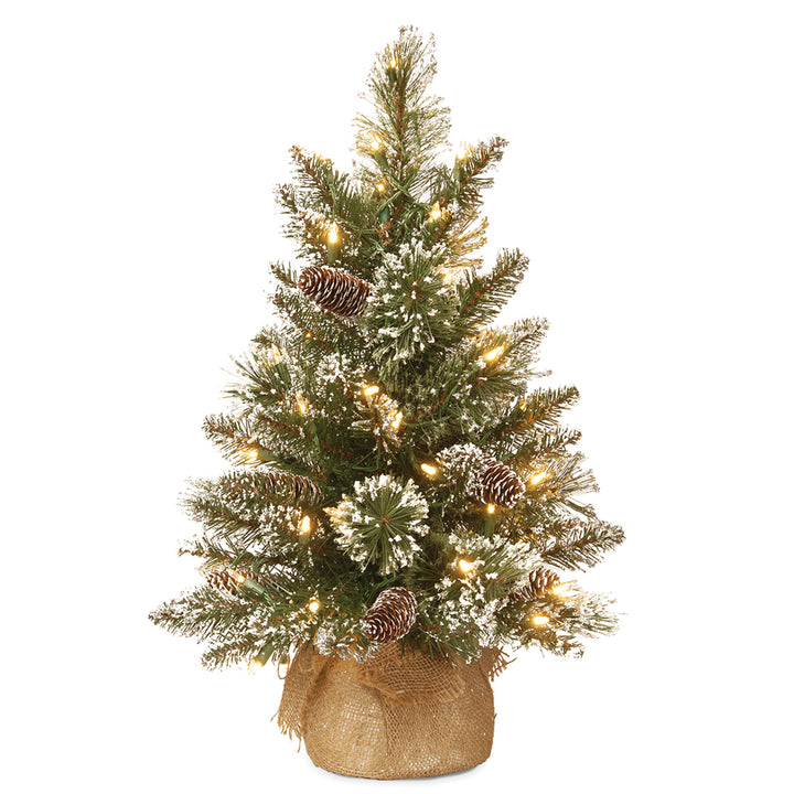 Pre-Lit Artificial Mini Christmas Tree, Green, Glittery Bristle Pine, White LED Lights, Flocked with Pine Cones, Frosted Branches, Includes Cloth Bag Base, 2 Feet