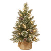 2 ft. Pre-Lit Glittery Bristle Tree with LED Lights - National Tree Company
