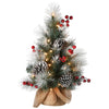2 ft. Snowy Glacier Pine Tree with Warm White LED Lights - National Tree Company