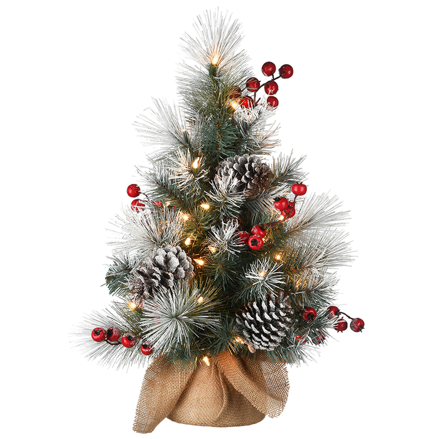 2 ft. Snowy Glacier Pine Tree with Warm White LED Lights - National Tree Company