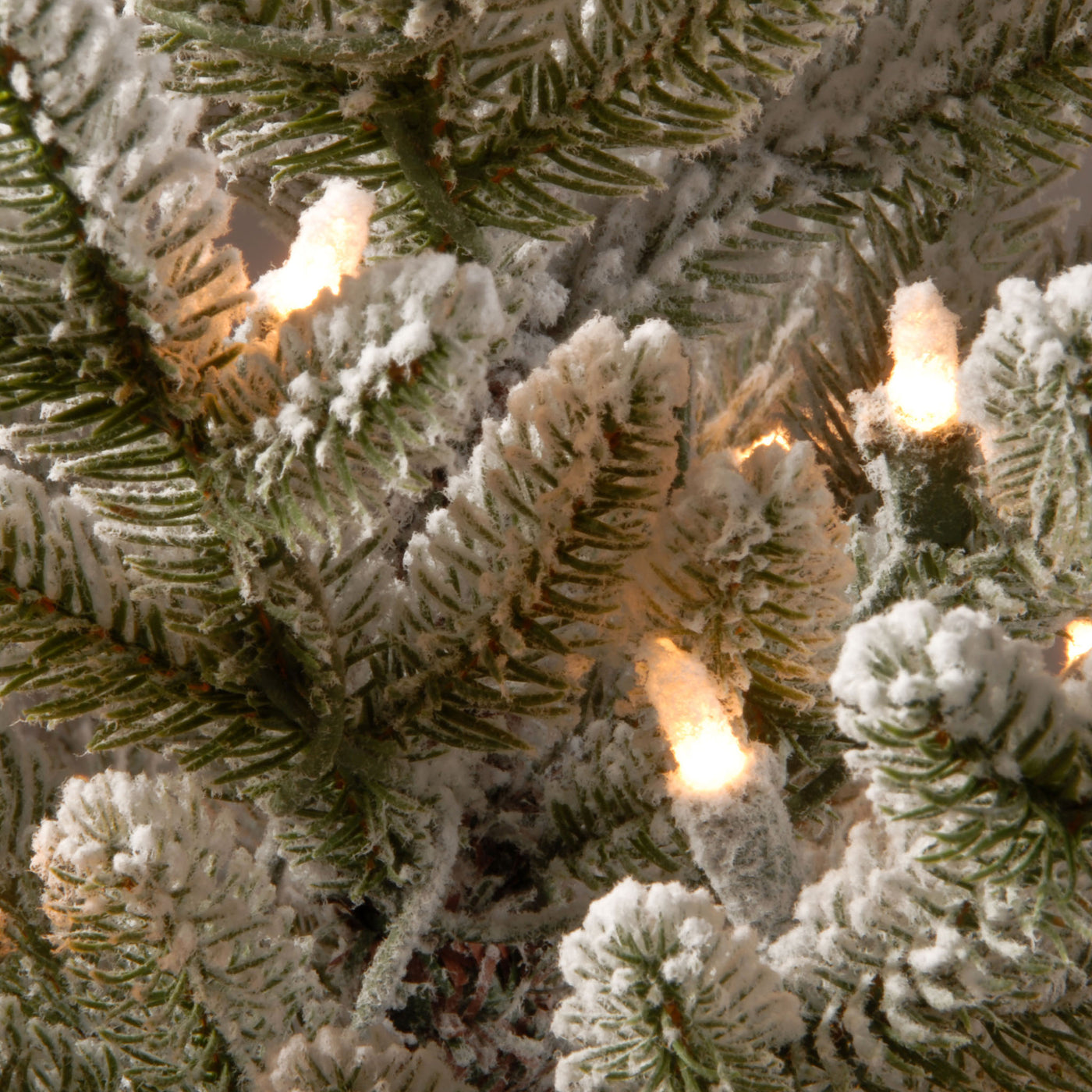 2.5 ft. Pre-Lit Snowy Cambridge Fir Tree with White LED Lights - National Tree Company