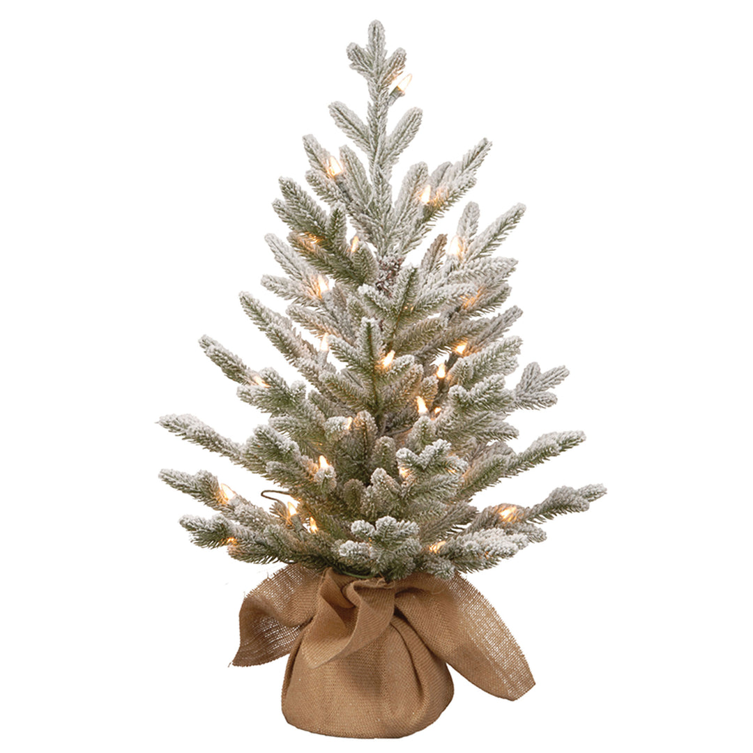 Pre-Lit Artificial Christmas Tree, Green, Snowy Cambridge, White LED Lights, Includes Cloth Bag Base, Battery Operated, 2.5 Feet