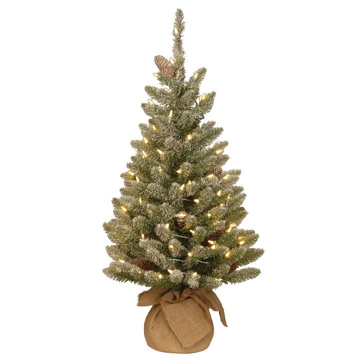 Pre-Lit Artificial Christmas Tree, Green, Snowy Concolor, White LED Lights, Decorated with Pine Cones, Includes Cloth Bag Base, Battery Operated, 24 Inches