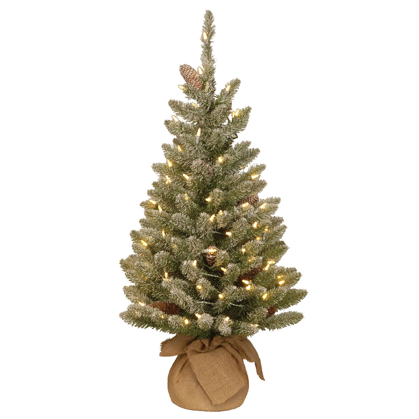 3 ft. Pre-Lit Snowy Concolor Fir Tree with LED Lights - National Tree Company