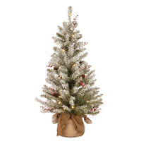 3 ft. Pre-Lit Dunhill Fir Tree with Warm White LED Lights - National Tree Company