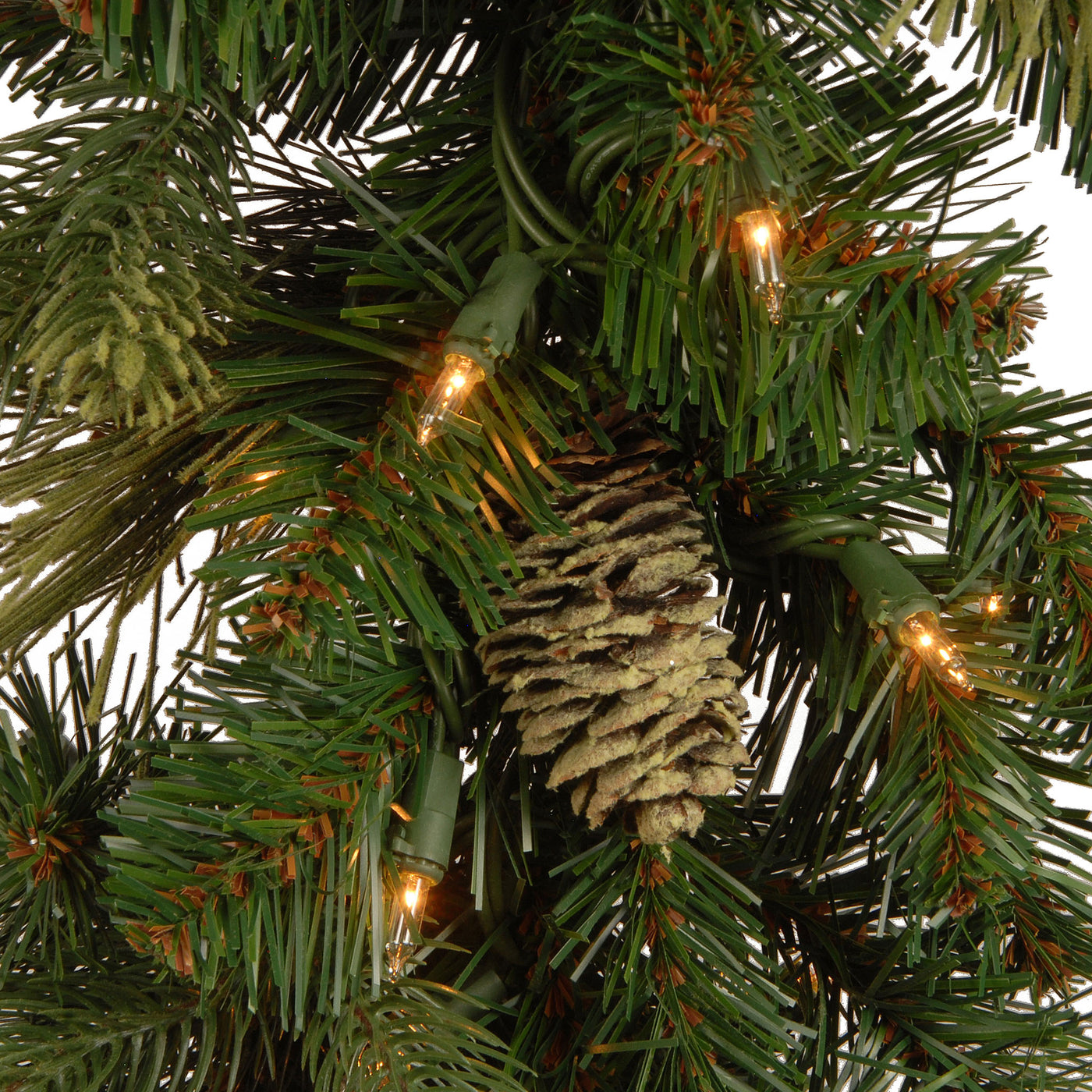 24 in. Pre-Lit Carolina Pine Wreath with Clear Lights - National Tree Company