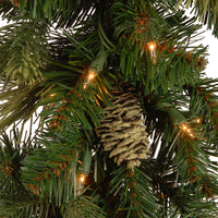 24 in. Pre-Lit Carolina Pine Wreath with Clear Lights - National Tree Company