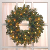 24 in. Pre-Lit Carolina Pine Wreath with Clear Lights - National Tree Company