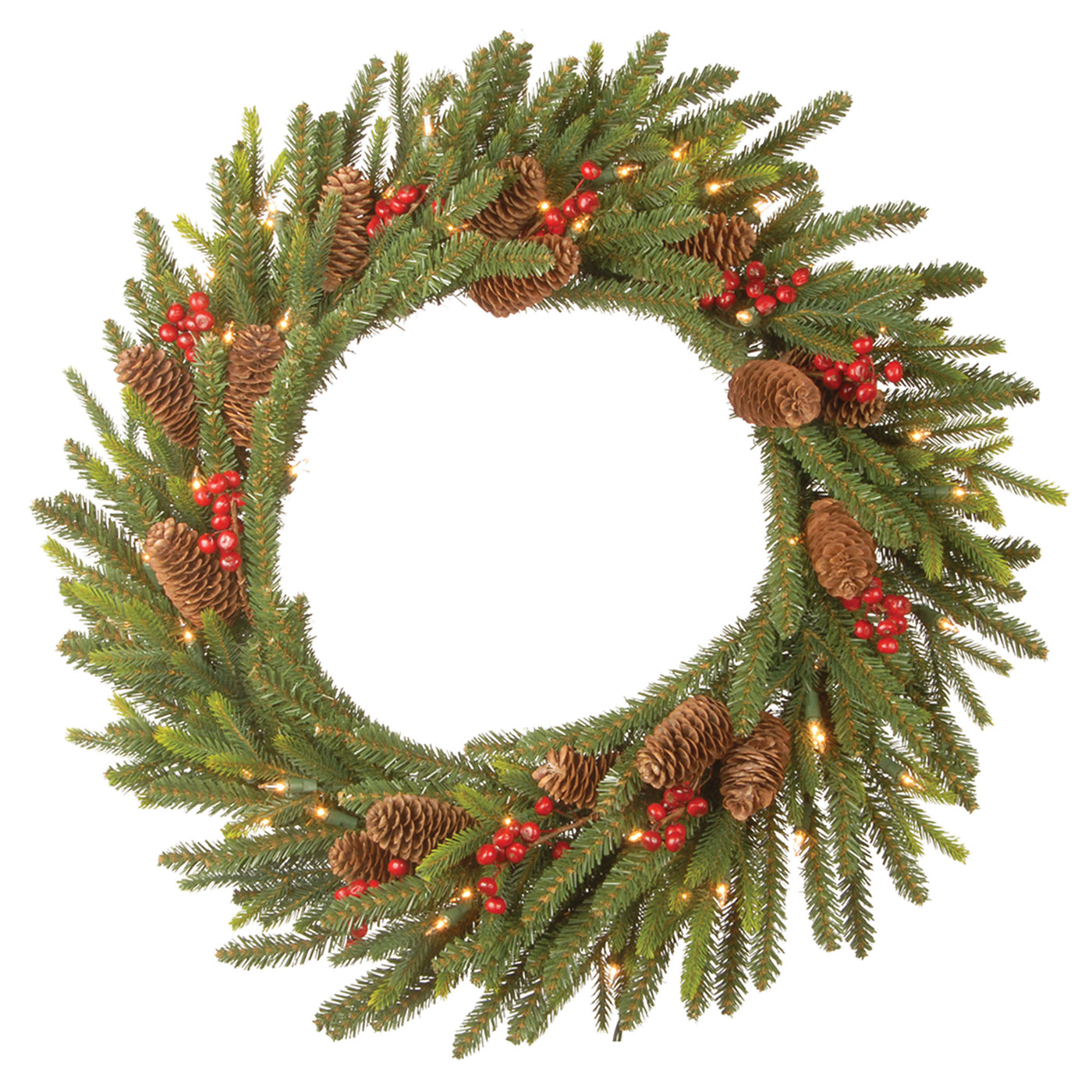24 in. Pre-Lit Dorchester Fir Wreath with LED Lights - National Tree Company