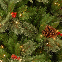 30 in. Pre-Lit Colonial Fir Wreath with Clear Lights - National Tree Company