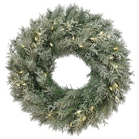 24 in. Pre-Lit Snowy Stonington Fir Wreath with LED Lights - National Tree Company