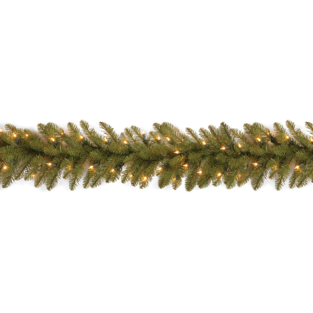 National Tree Company Pre-Lit Artificial Christmas Garland, Green, Dunhill Fir, White Lights, Plug In, Christmas Collection, 9 Feet